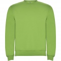 Clasica Sweatshirt mit Rundhalsausschnitt Unisex, Oase Grün