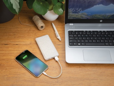 : 10.000 mAh Weizenstroh Powerbank