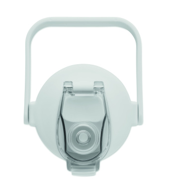 Logotrade werbemittel das Foto: RPET-Trinkflasche 2000ml