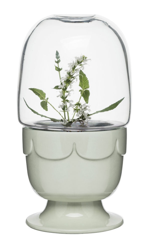 Logotrade promotional gift image of: Sagaformi mini Greenhouse