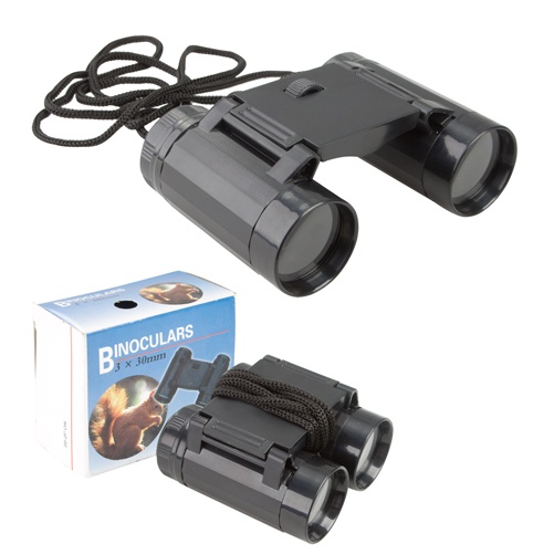 Logotrade advertising product image of: binoculars AP800312 black