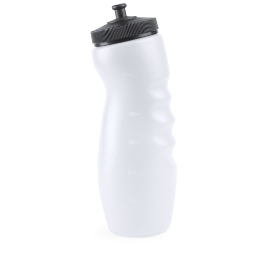 Logotrade promotional giveaway picture of: sport bottle AP741869-01