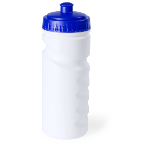 Logotrade business gifts photo of: sport bottle AP741912-06 blue