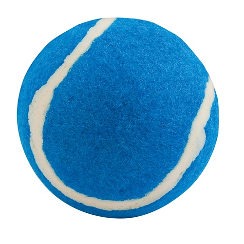 Logo trade promotional gifts picture of: ball for dogs AP731417-06 blue