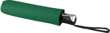 Logotrade promotional merchandise picture of: 21.5" Alex 3-section auto open and close umbrella, green