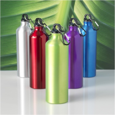 Logotrade business gift image of: Oregon 770 ml aluminium water bottle with carabiner