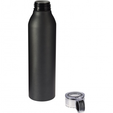 Logotrade promotional giveaway picture of: Grom 650 ml water bottle