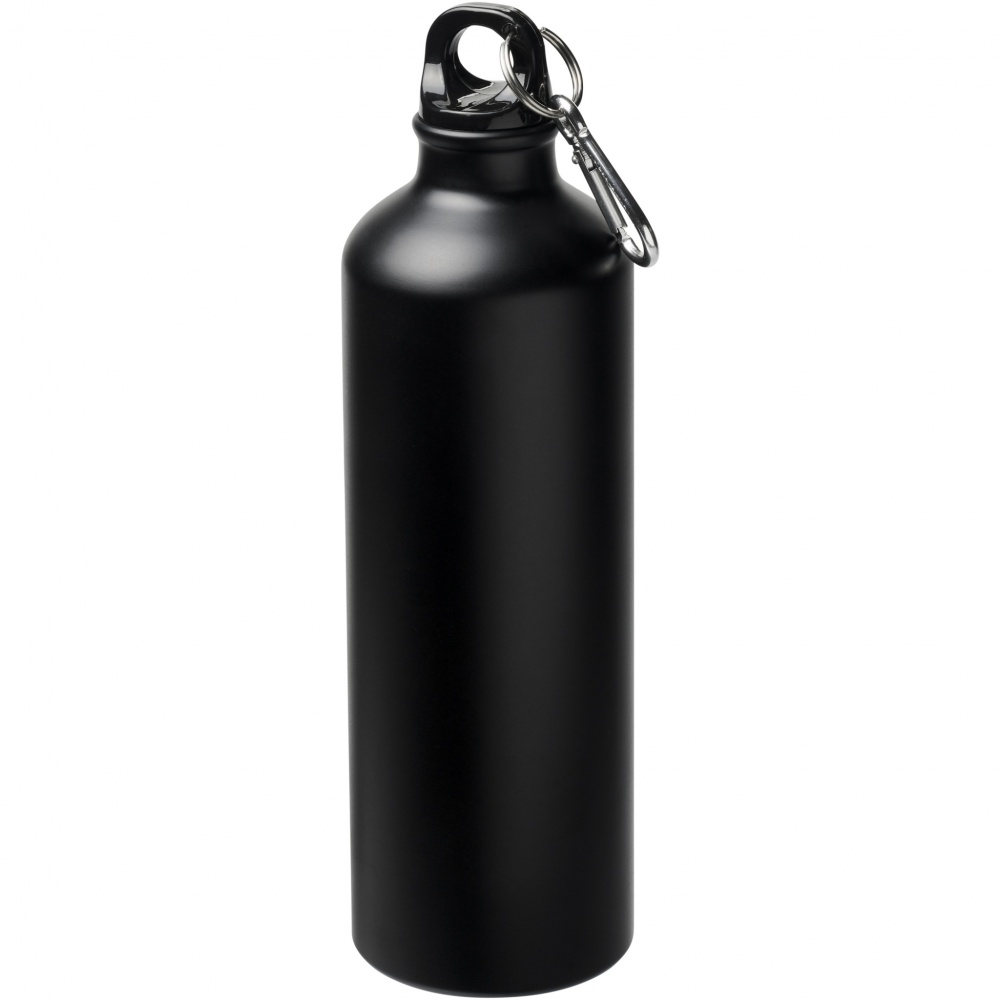 Logo trade promotional giveaway photo of: Oregon 770 ml matte water bottle with carabiner