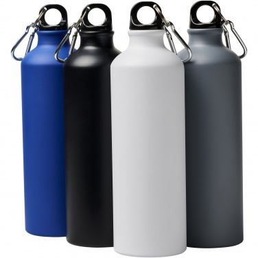 Logo trade business gift photo of: Oregon 770 ml matte water bottle with carabiner