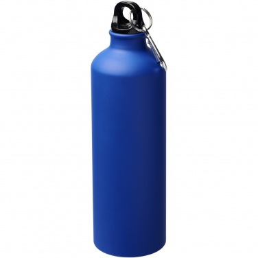 Logotrade promotional product image of: Oregon 770 ml matte water bottle with carabiner