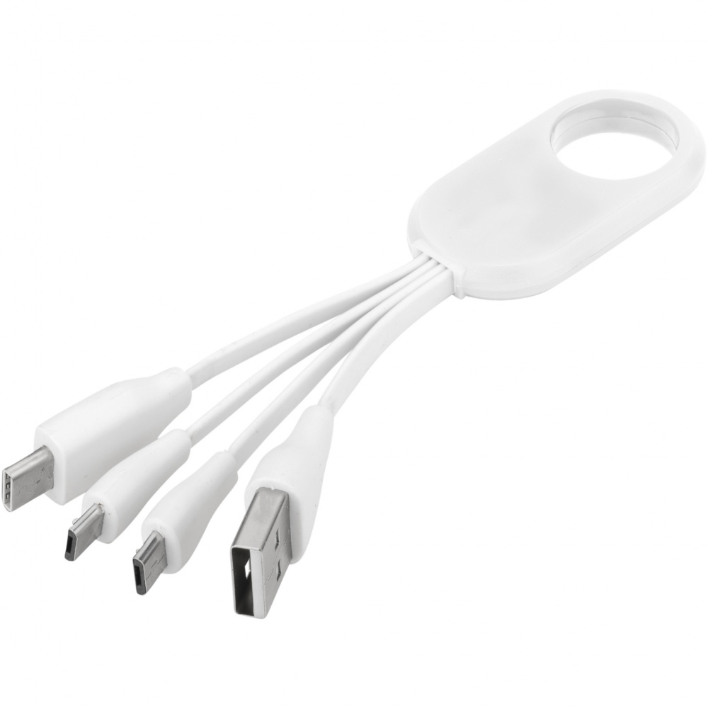 Logotrade corporate gift image of: Troup 4-in-1 charging cable with type-C tip