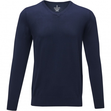 Logotrade promotional merchandise image of: Stanton men's v-neck pullover