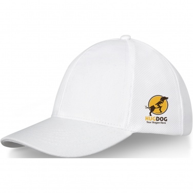 Logo trade promotional items picture of: Drake 6 panel trucker cap