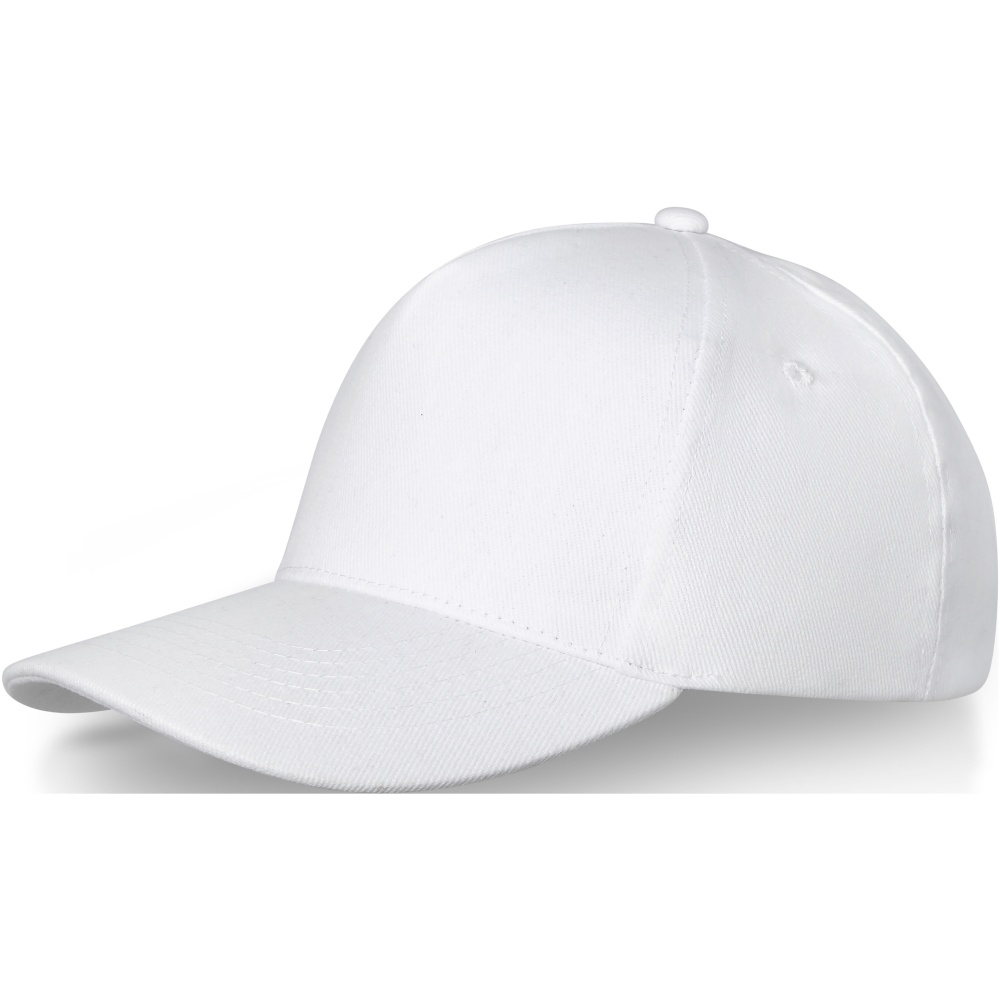 Logo trade corporate gifts picture of: Doyle 5 panel cap