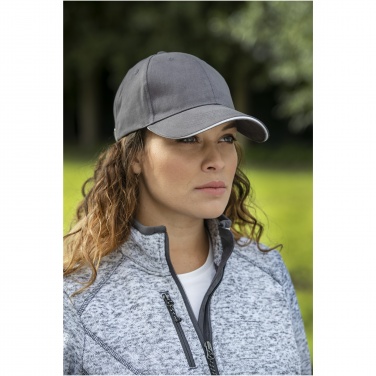 Logo trade promotional giveaway photo of: Darton 6 panel sandwich cap