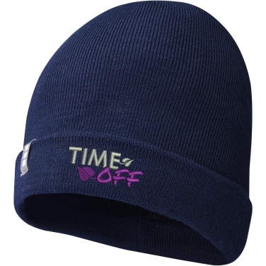 Logo trade promotional products image of: Hale Polylana® beanie