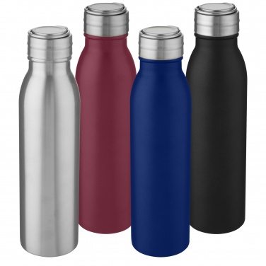 Logo trade business gift photo of: Harper 700 ml stainless steel water bottle with metal loop