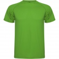 Montecarlo short sleeve men's sports t-shirt, Fern green