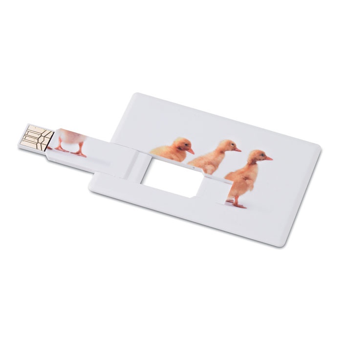 Logotrade promotional merchandise picture of: Creditcard. USB flash 4GB