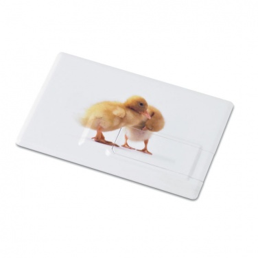 Logo trade corporate gifts picture of: Creditcard. USB flash 4GB