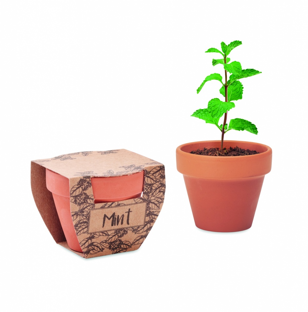 Logo trade promotional giveaway photo of: Terracotta pot mint seeds