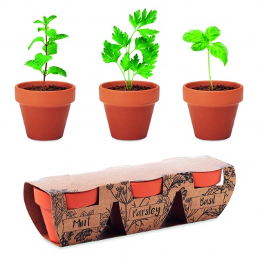 Logo trade promotional merchandise picture of: Terracotta 3 herb pot set