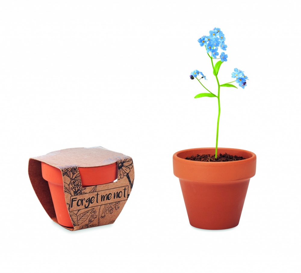 Logo trade promotional gifts image of: Terracotta pot 'forget me not'