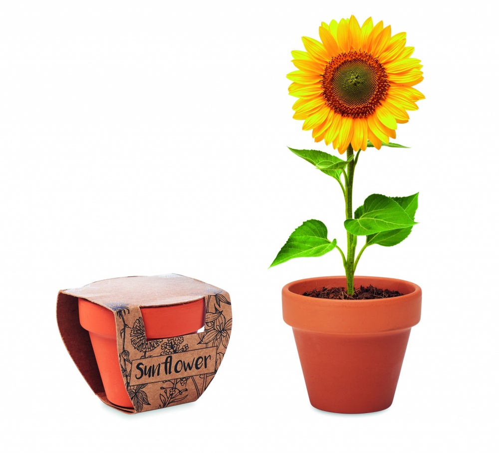 Logotrade promotional product picture of: Terracotta pot 'sunflower'