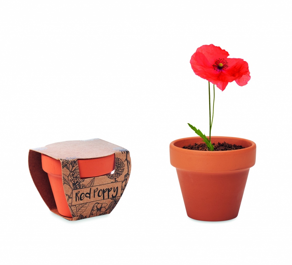 Logotrade corporate gift image of: Terracotta pot 'poppy'