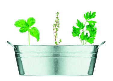 Logo trade corporate gifts image of: Zinc tub with 3 herbs seeds