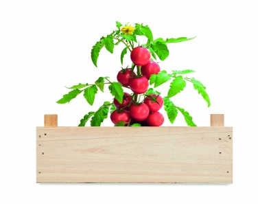 Logotrade advertising products photo of: Tomato kit in wooden crate