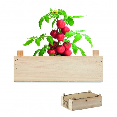 Logotrade advertising products photo of: Tomato kit in wooden crate