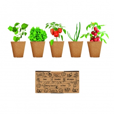 Logotrade promotional item picture of: Salad growing kit