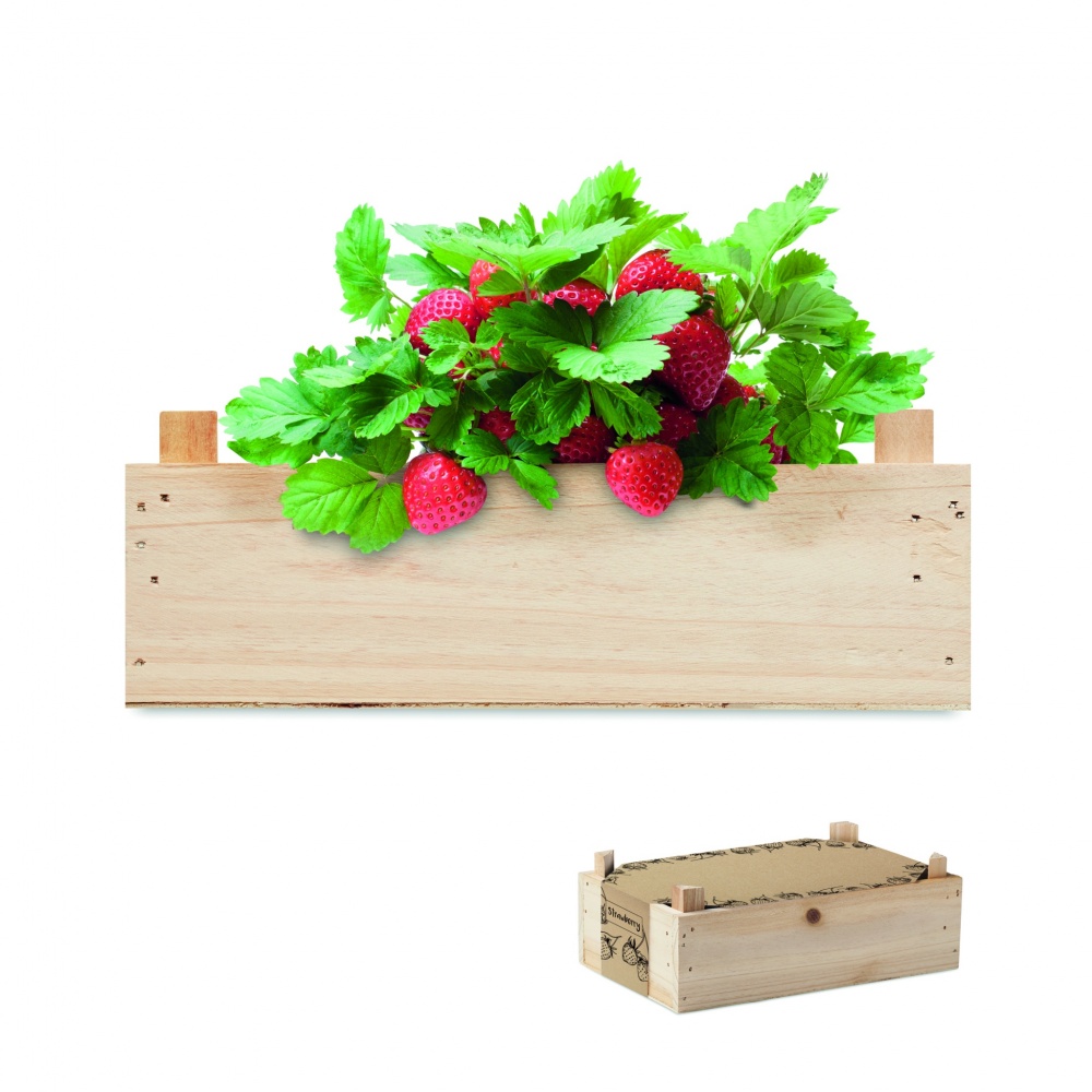 Logotrade promotional product image of: Strawberry kit in wooden crate