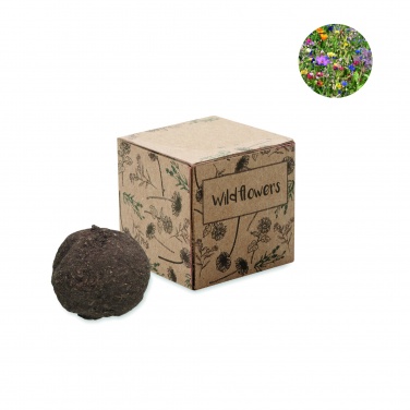 Logotrade advertising product image of: Seed bomb growing kit