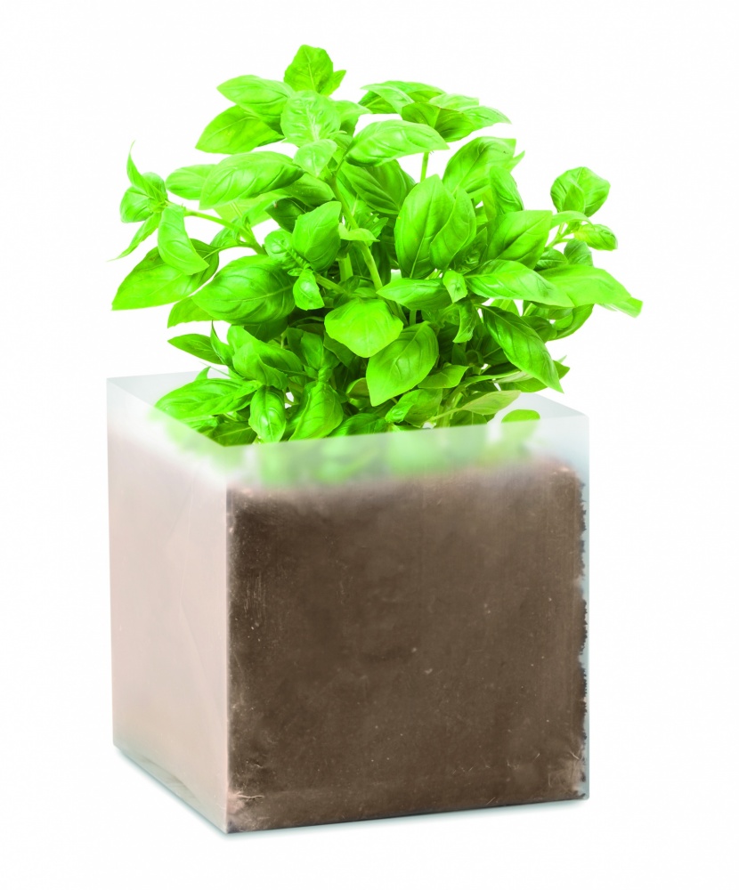 Logotrade promotional item image of: Compost with seeds "BASIL"