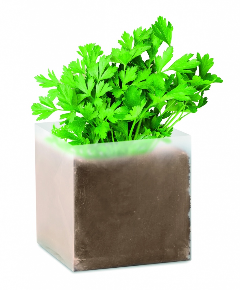 Logotrade promotional merchandise image of: Compost with seeds "PARSLEY"