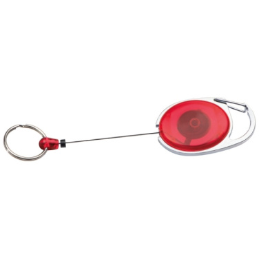 Logo trade promotional merchandise image of: Ski-Pass with Carabiner Keyring EMPLOYEE