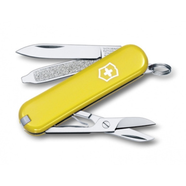 Logo trade promotional products image of: Pocket knife CLASSIC SD Victorinox