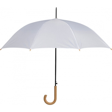 Logotrade promotional giveaway image of: Automatic umbrella STOCKPORT