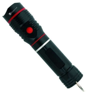 Logotrade corporate gift picture of: Flashlight BIWA Schwarzwolf