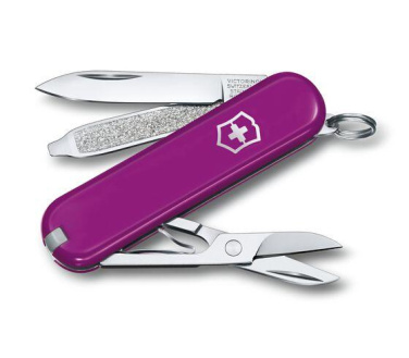 Logo trade advertising products picture of: Pocket knife CLASSIC SD Victorinox