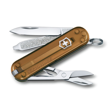 Logotrade promotional gift picture of: Pocket knife CLASSIC SD Victorinox