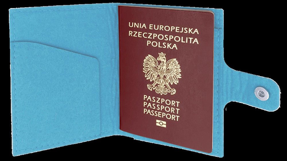 Logo trade promotional merchandise picture of: Passport case 84106200