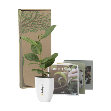 Logo trade promotional gifts picture of: Treemore Letterbox Trees Tea plant