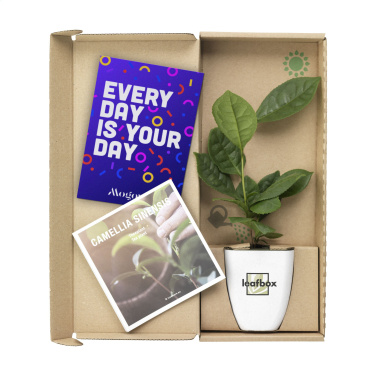 Logotrade promotional products photo of: Treemore Letterbox Trees Tea plant