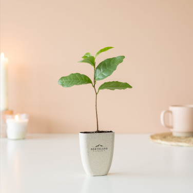 Logotrade promotional giveaway picture of: Treemore Letterbox Trees Tea plant