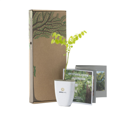 Logotrade promotional products photo of: Treemore Letterbox Trees Honey