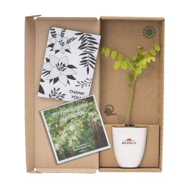 Logotrade promotional item picture of: Treemore Letterbox Trees Honey