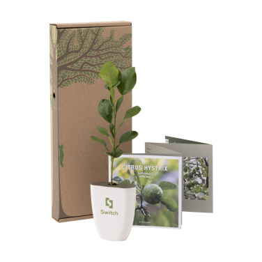 Logotrade promotional merchandise picture of: Treemore Letterbox Trees Kaffir Lemon